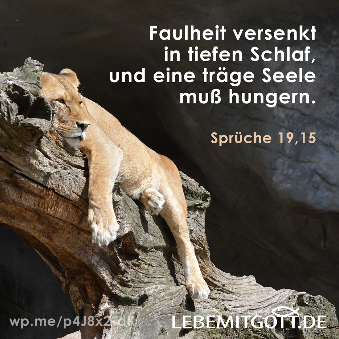29.05.2021 Faulheit