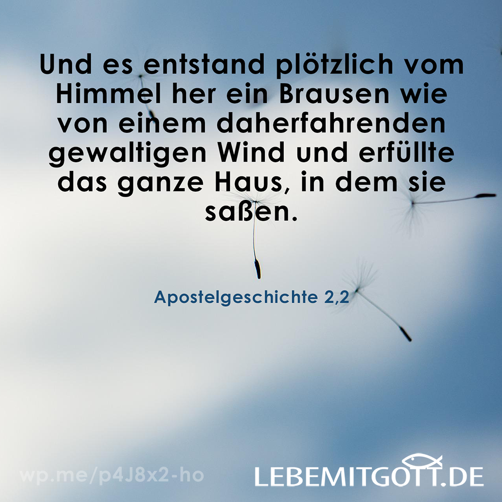 08.05.2022 Ein Brausen