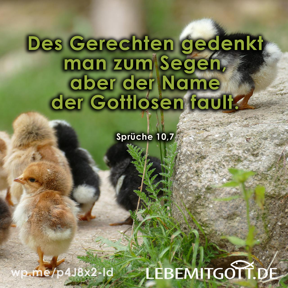 des Gerechten