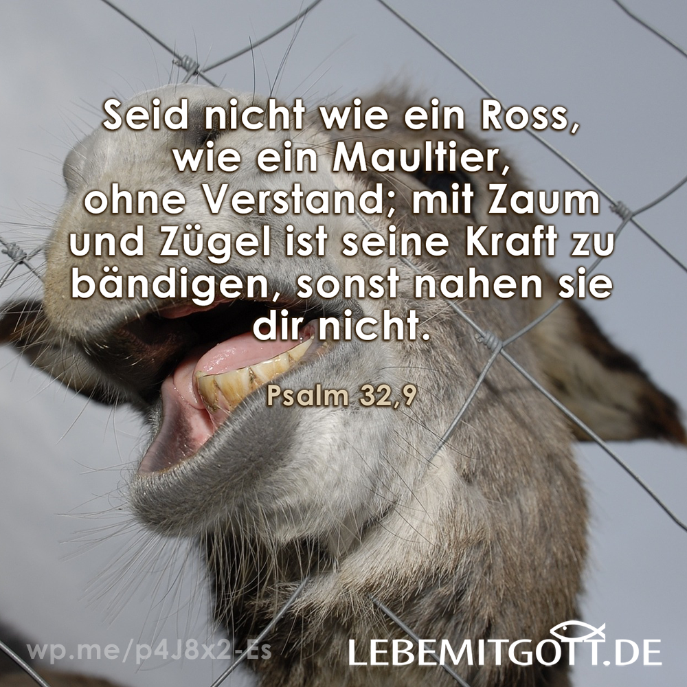ohne Verstand