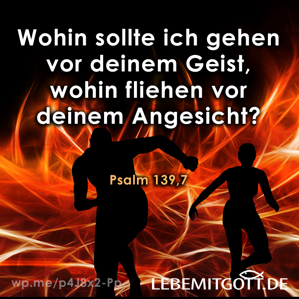13.12.2021 fliehen