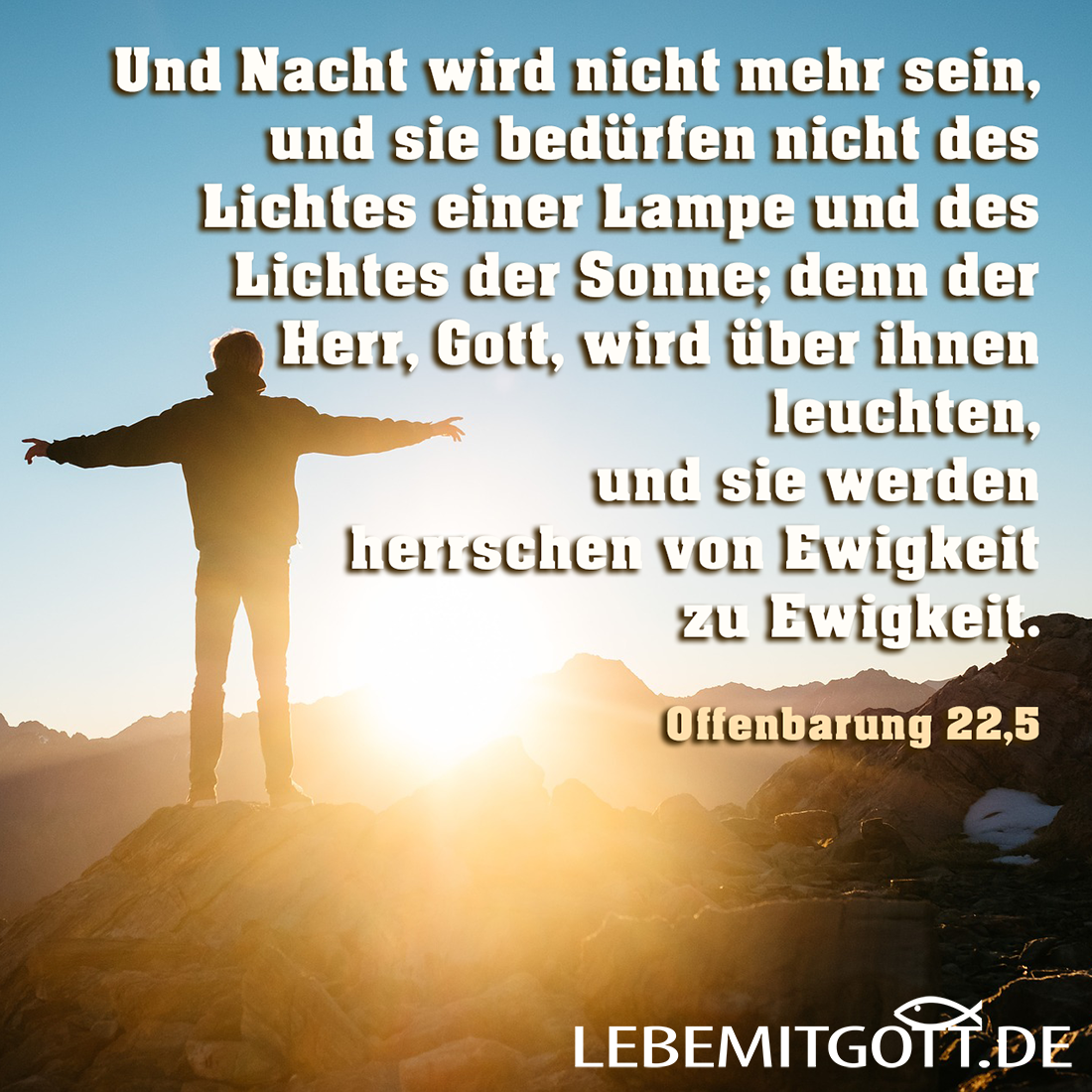20.02.2021