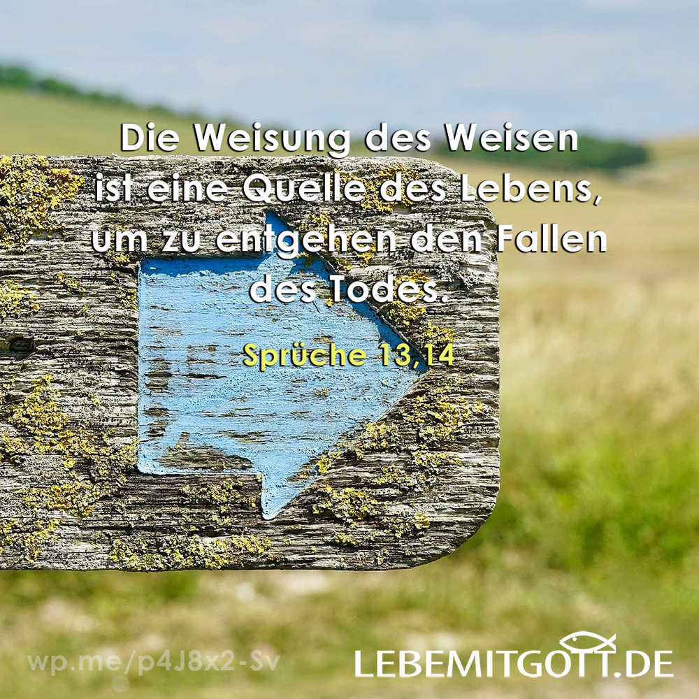 24.02.2022 Die Weisung