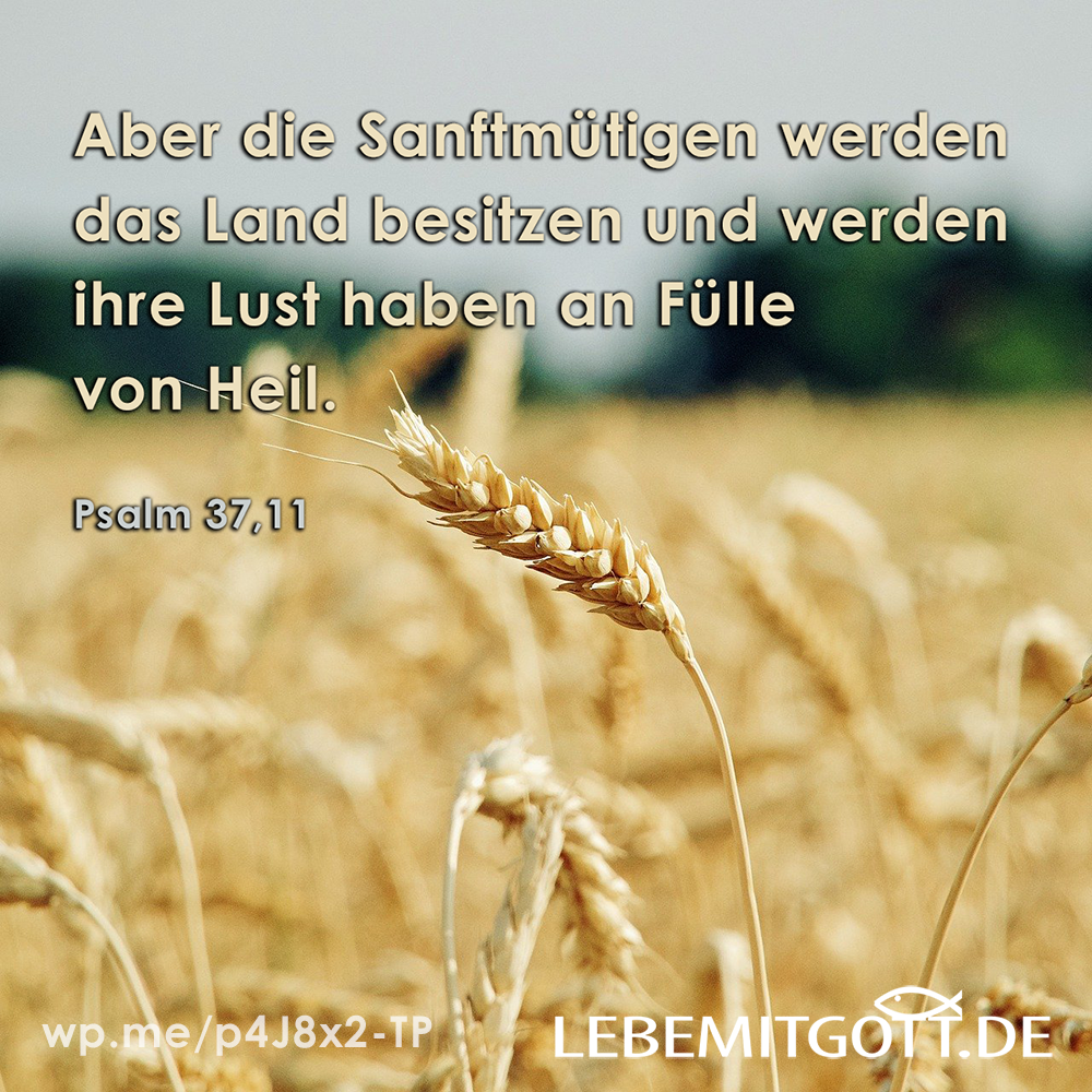 29.03.2022 Lust haben an Fülle