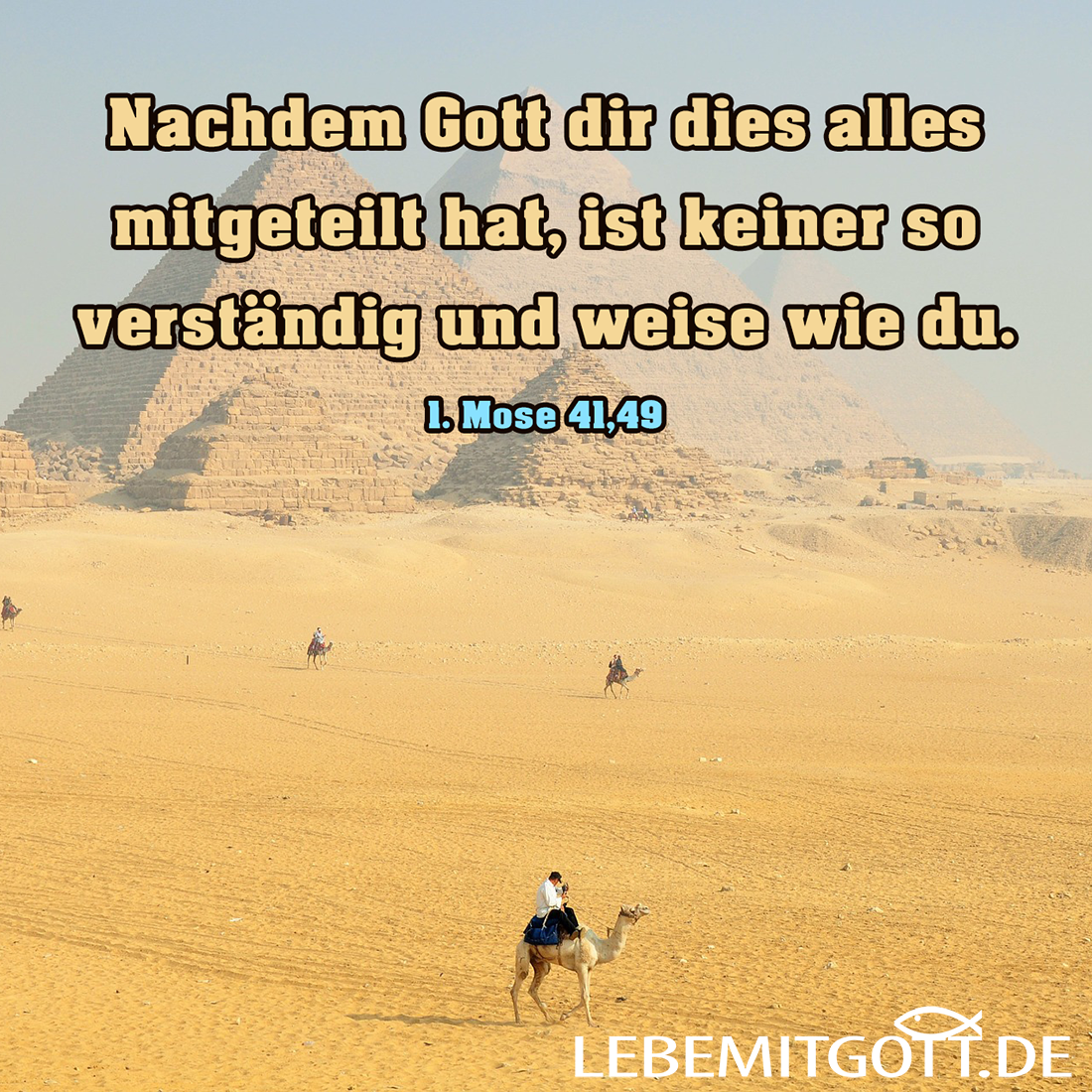 24.10.2020 verständig und weise