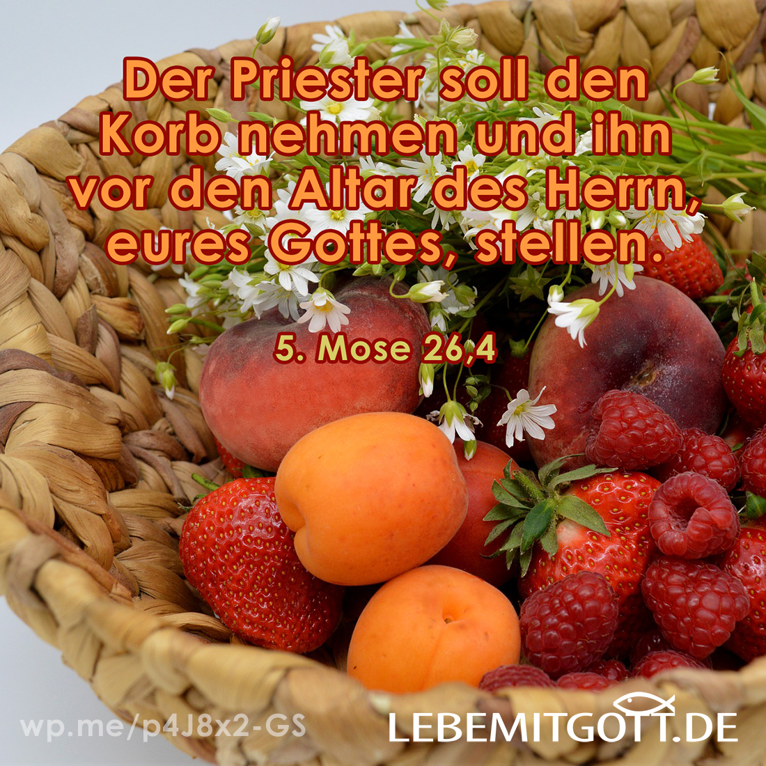 Früchte