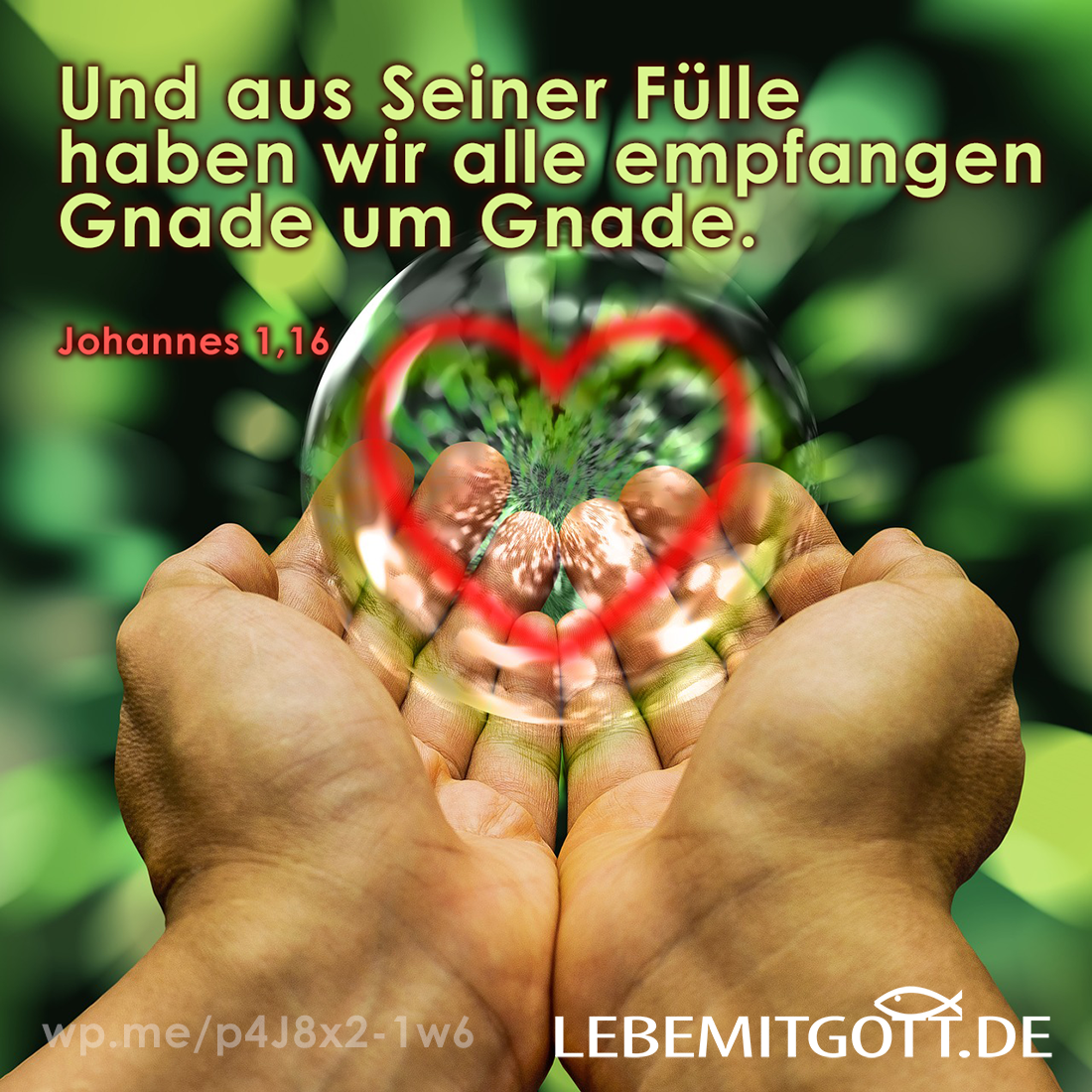 05.07.2021 aus Seiner Fülle