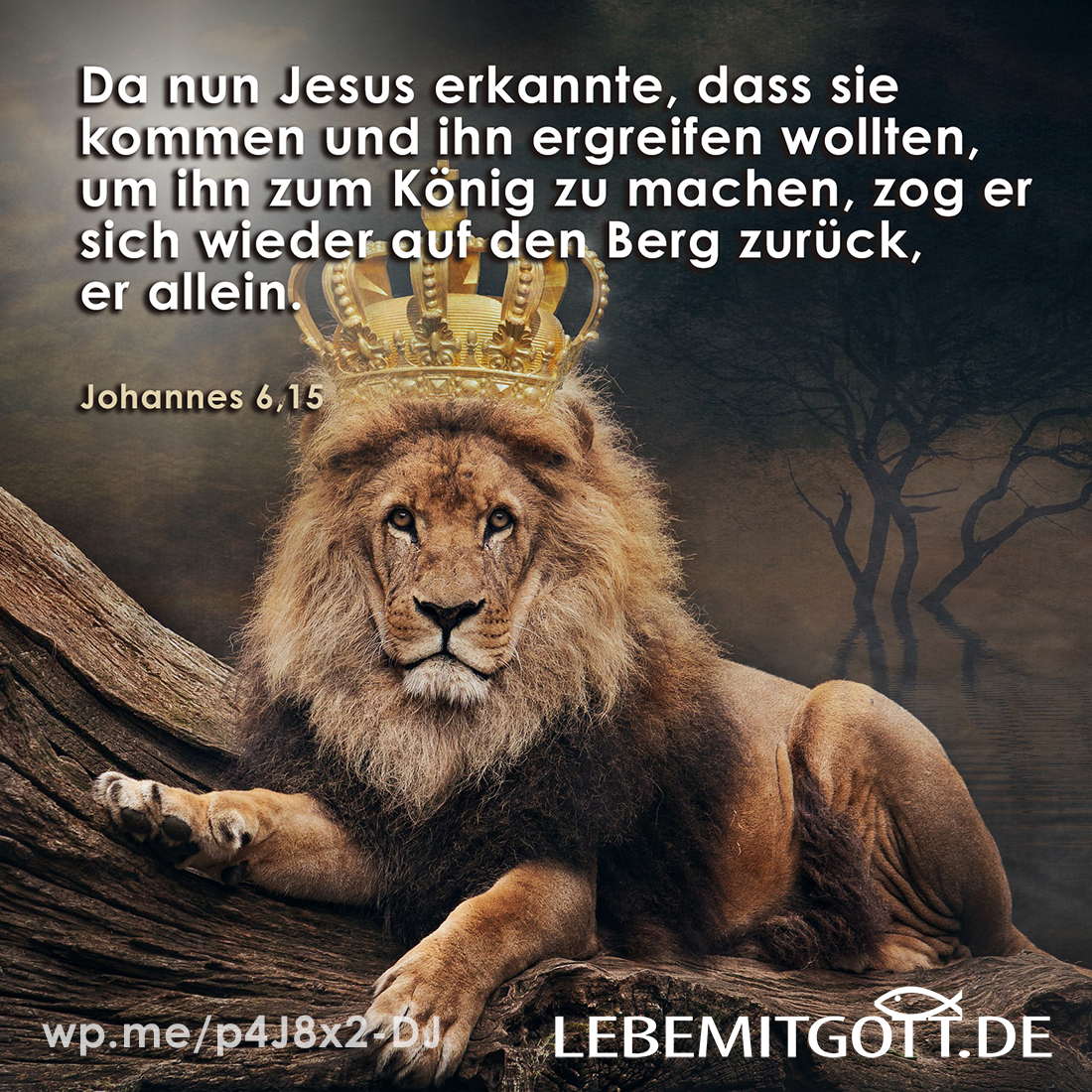 27.08.2021 König