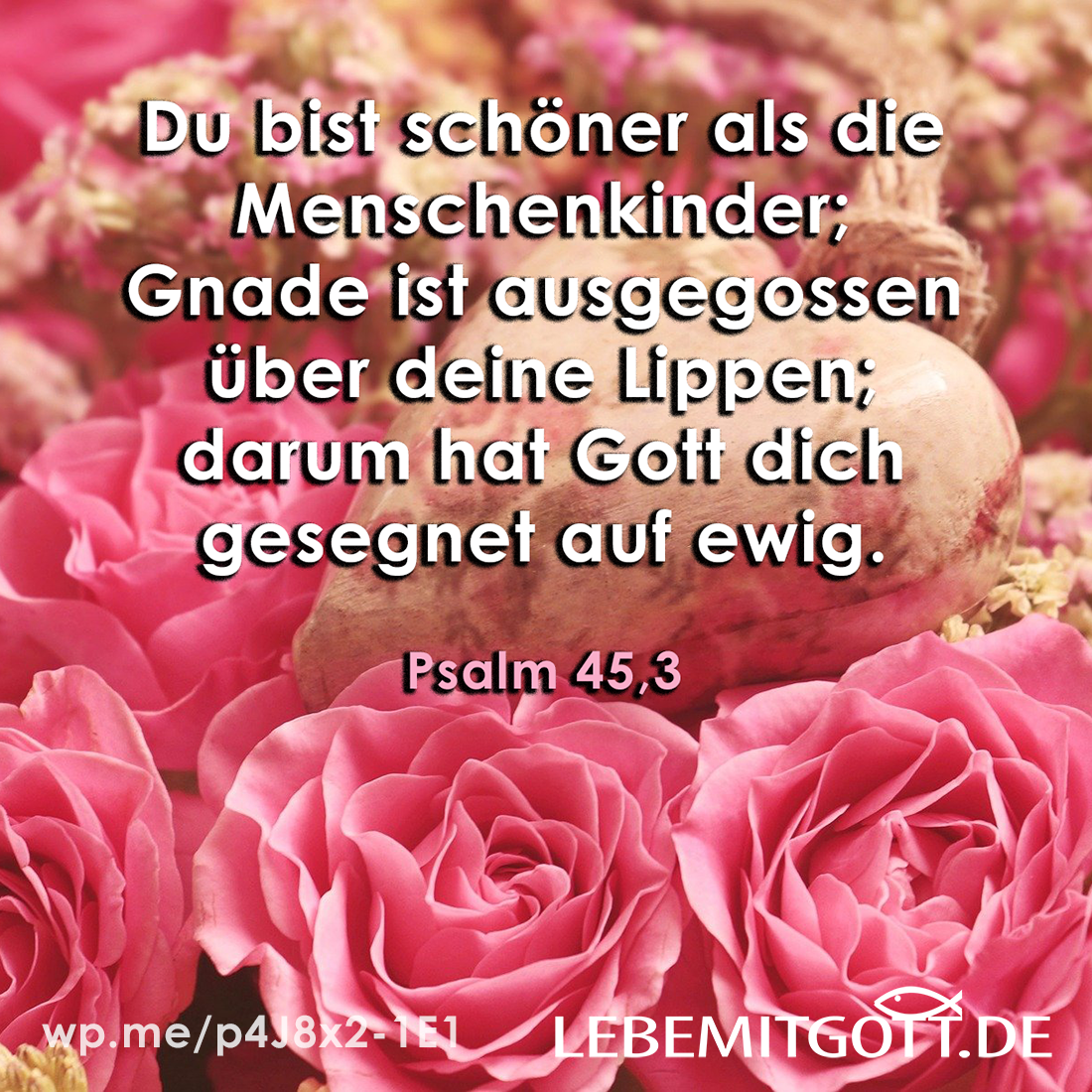 09.09.2021 schöner als die Menschenkinder