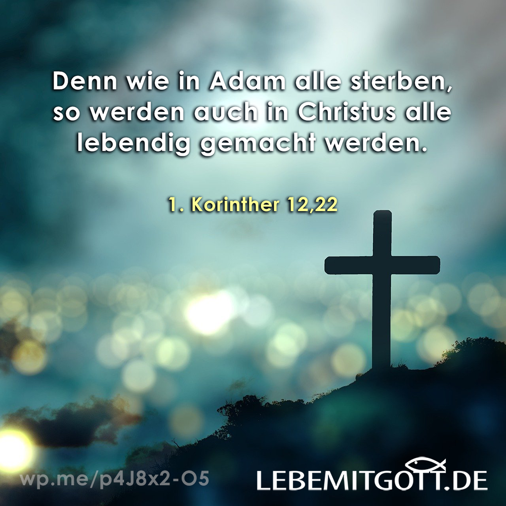 05.12.2021 lebendig