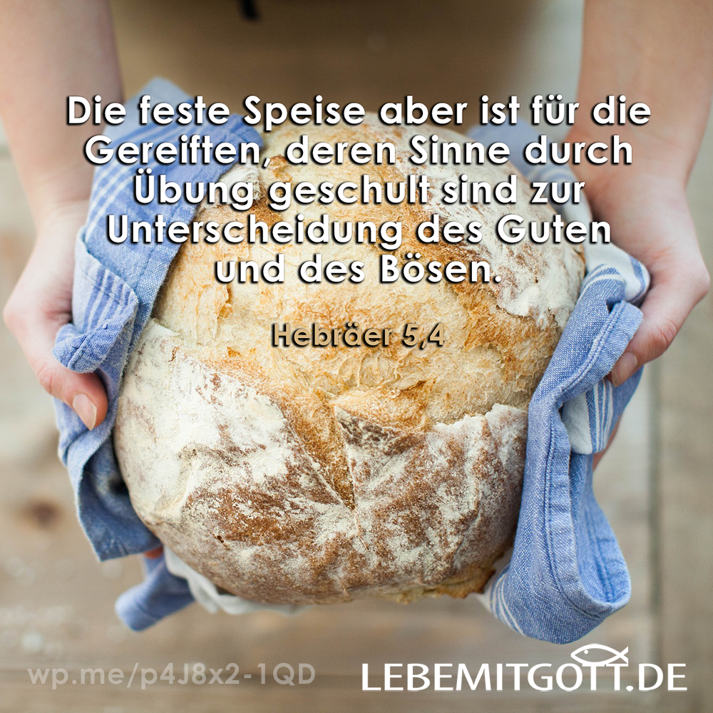 31.01.2022 feste Speise