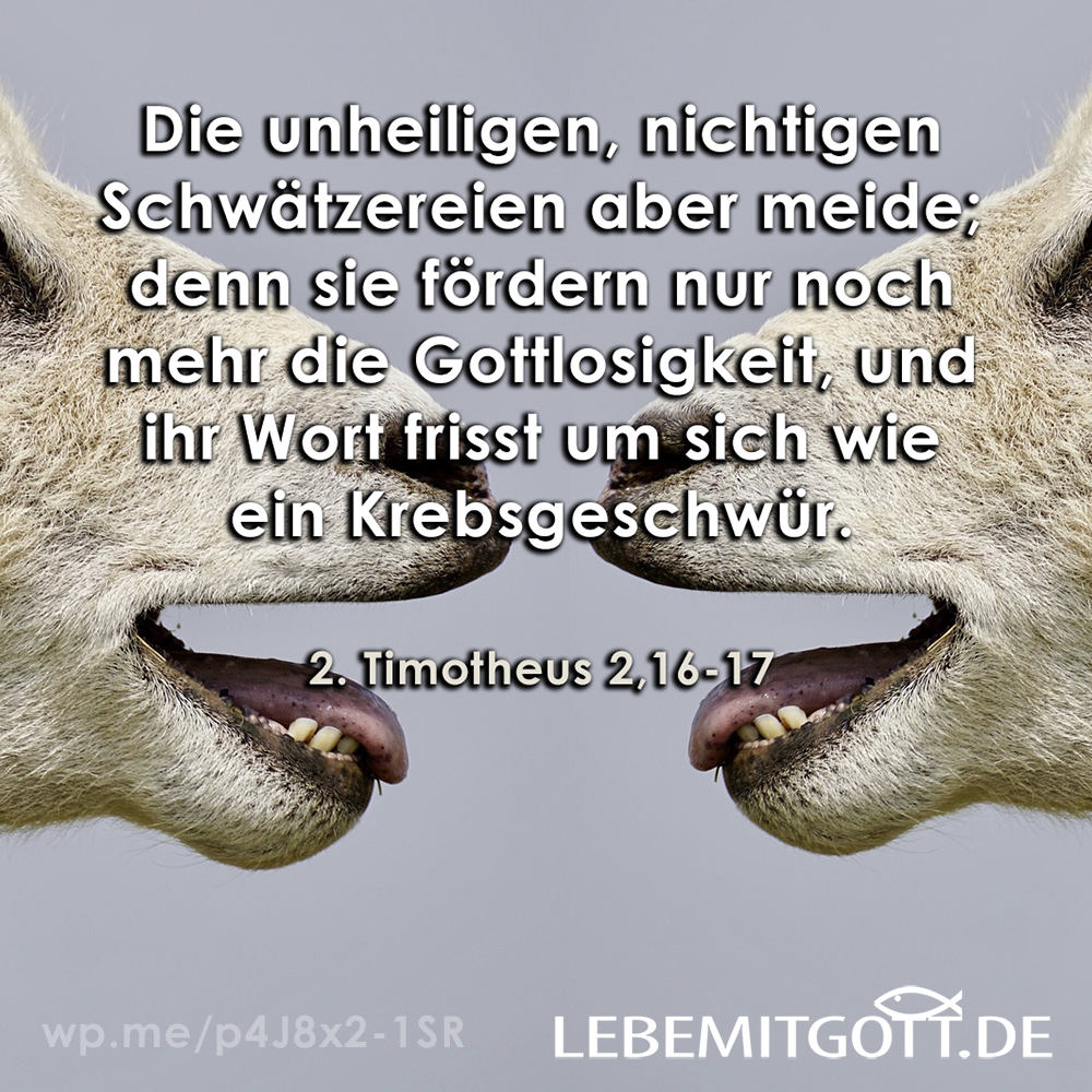 20.02.2022 Schwätzereien