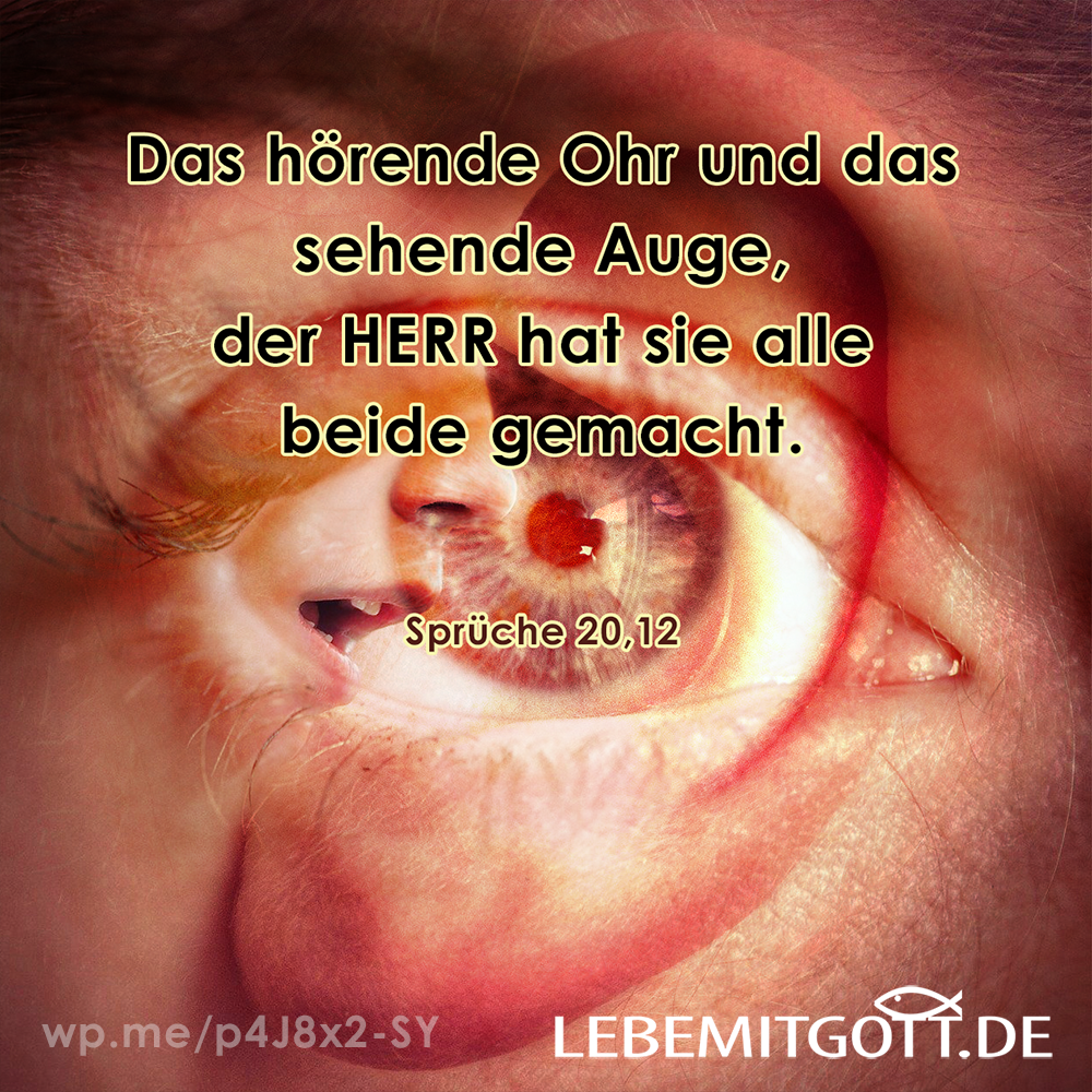 26.02.2022 Das hörende Ohr