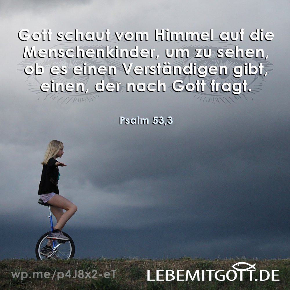 Gott schaut