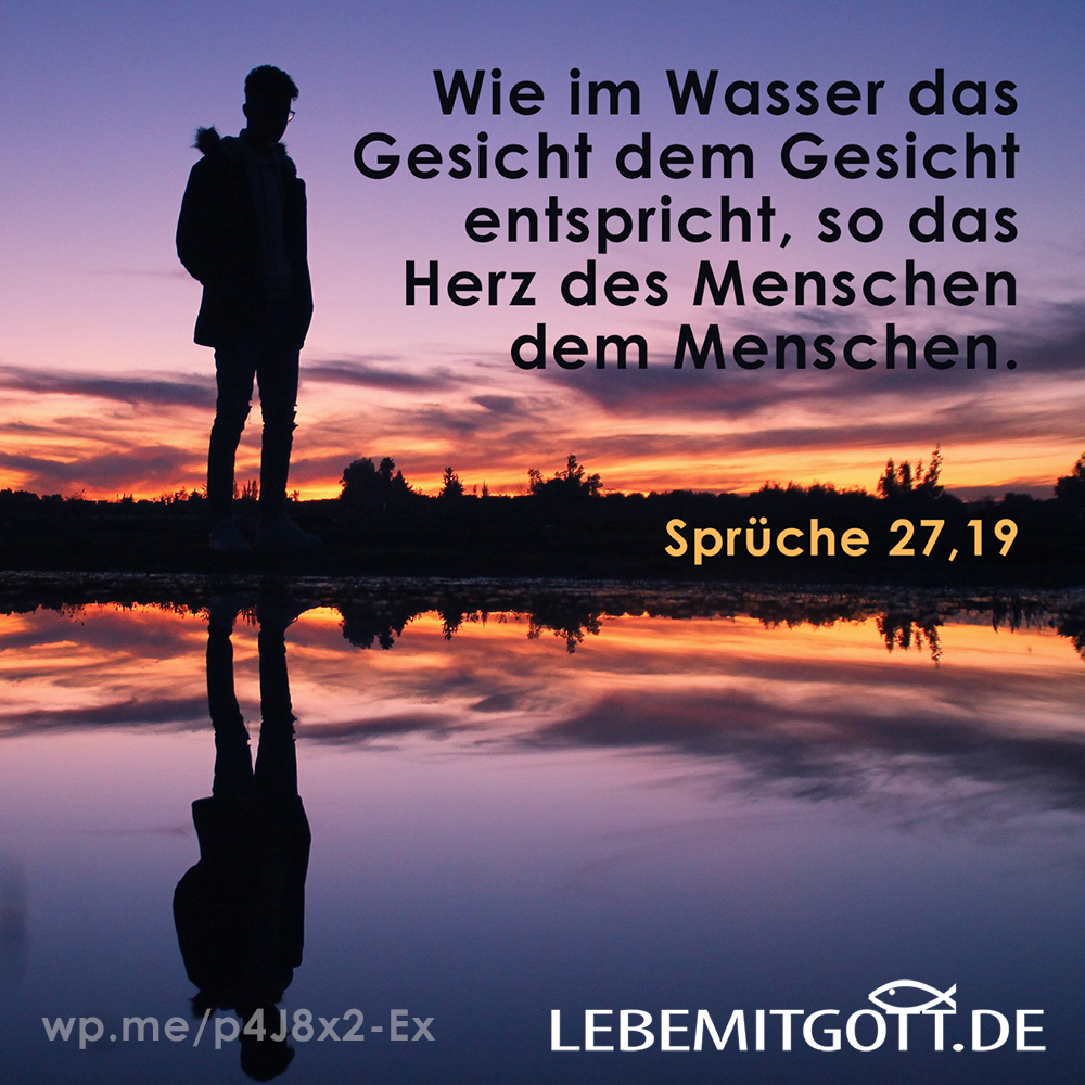 das Gesicht