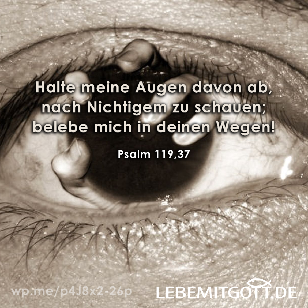 15.09.2022 meine Augen