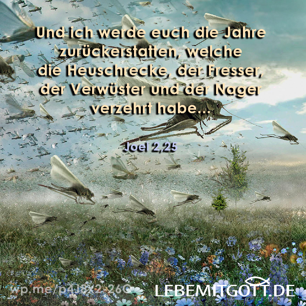 19.09.2022 zurückerstatten