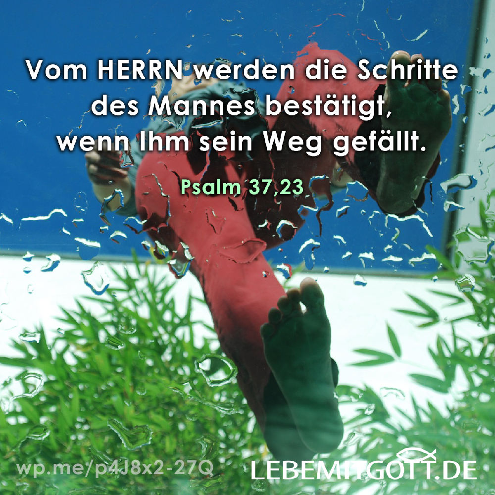 29.09.2022 Schritte des Mannes