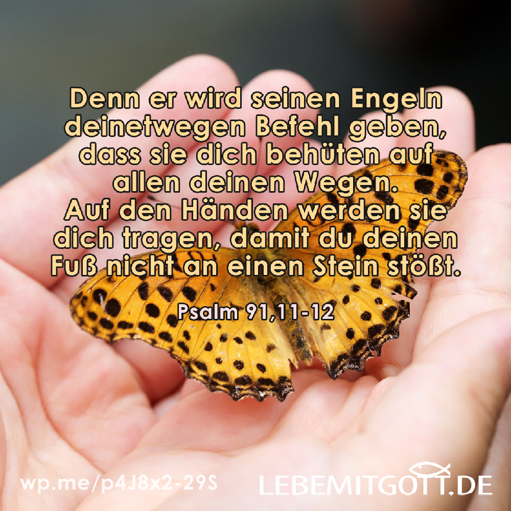 Auf den Händen