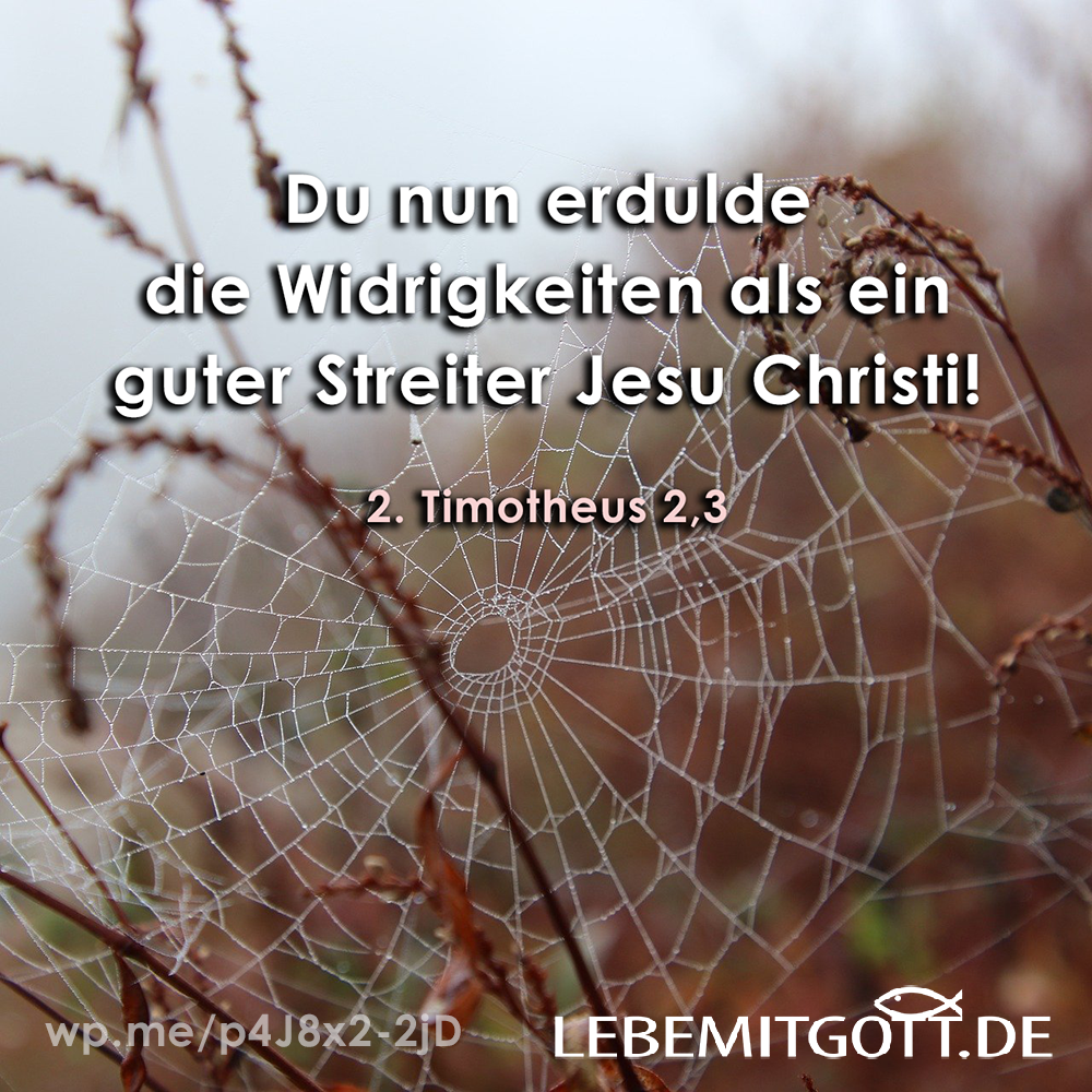 17.11.2022 Widrigkeiten