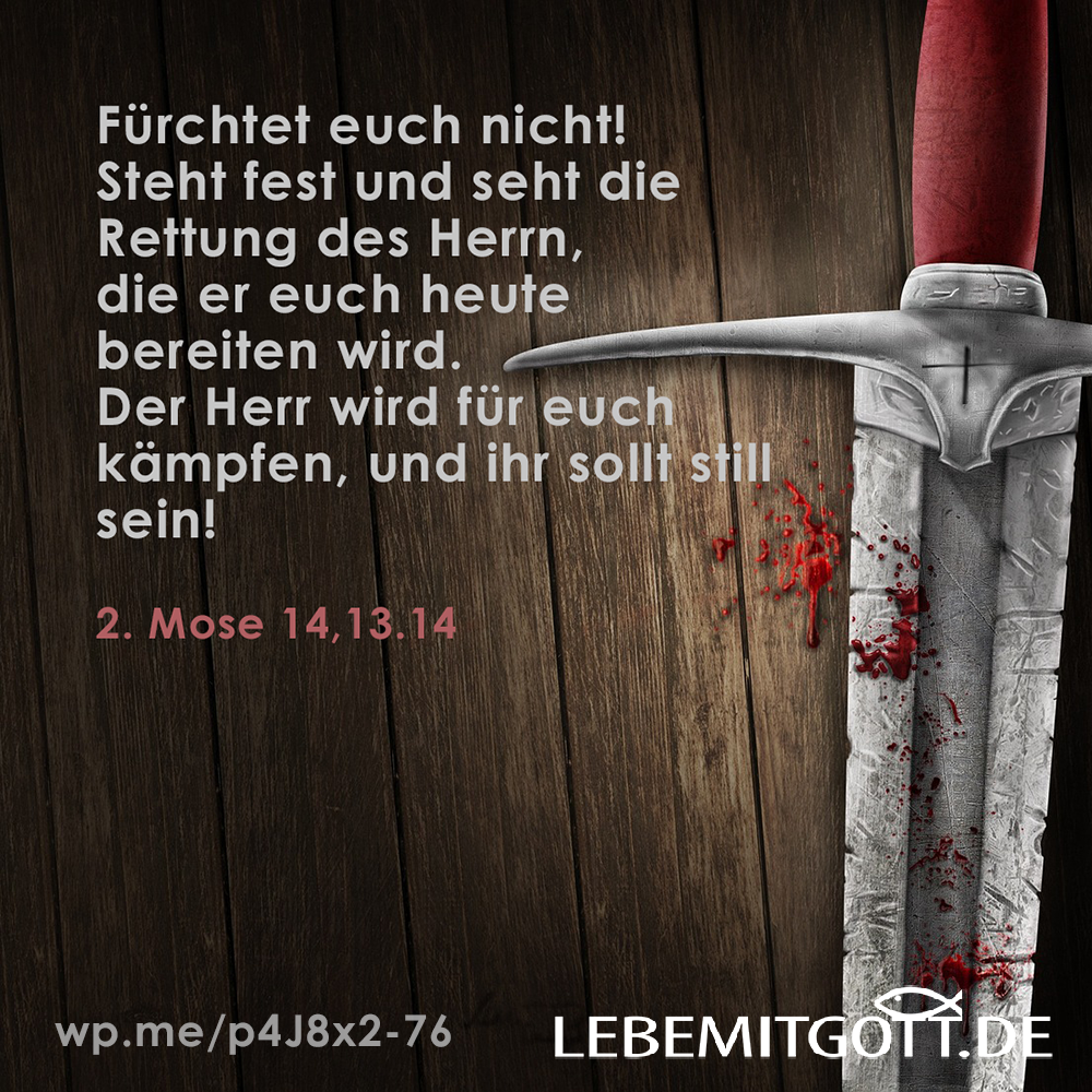 18.11.2022 für Dich kämpfen