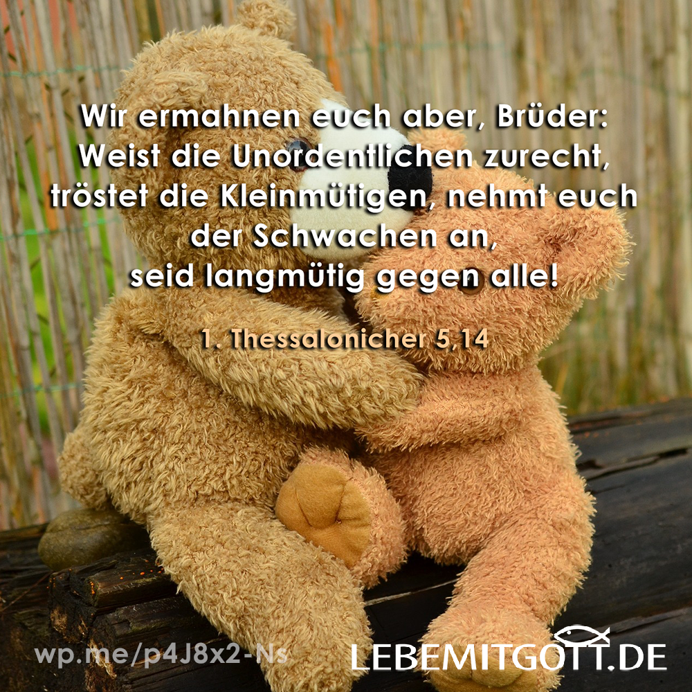 29.11.2022 Kleinmütigen