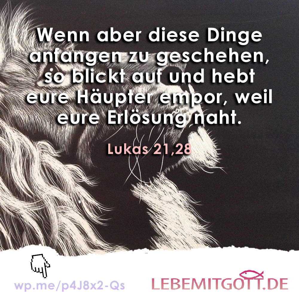 01.02.2023 Häupter