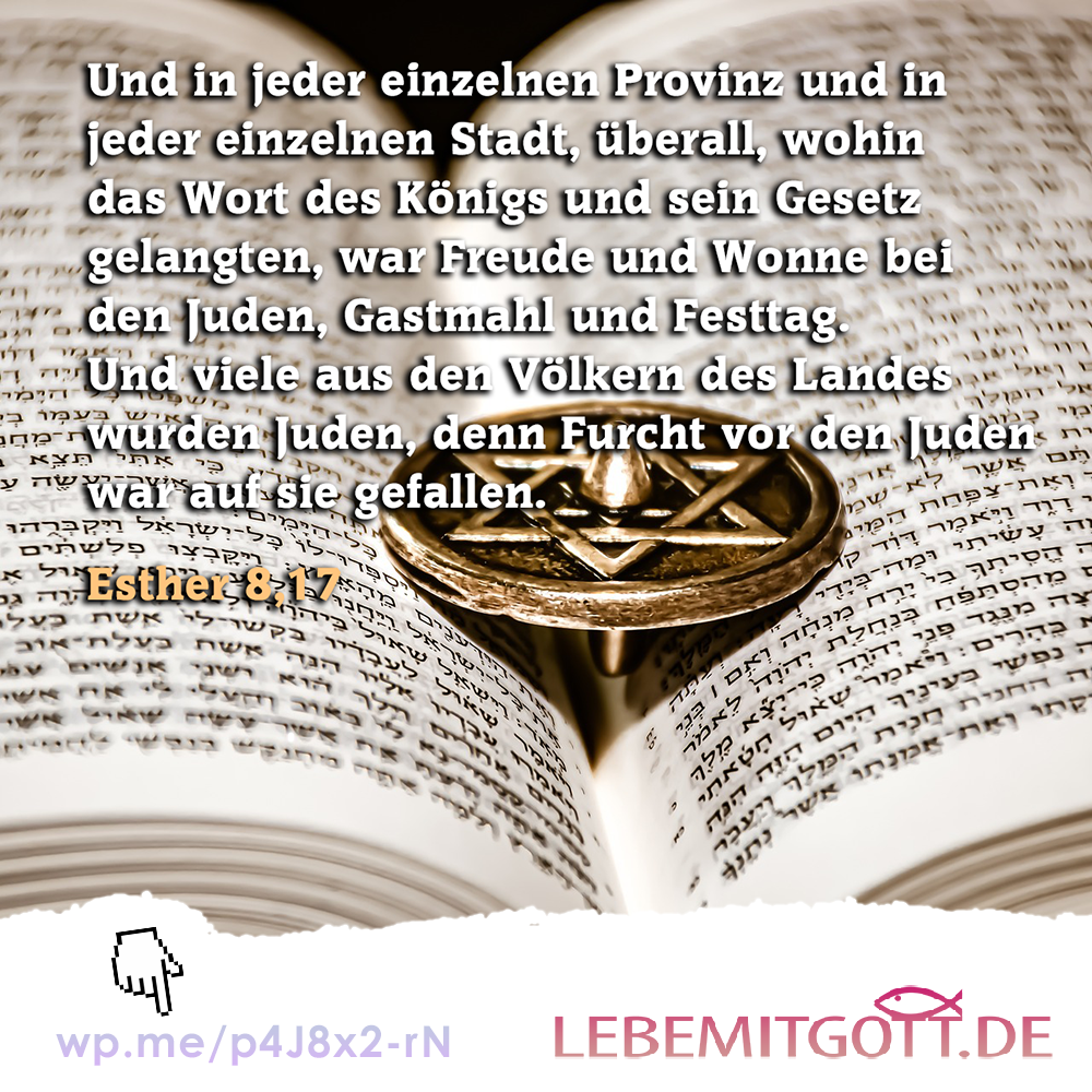 05.02.2023 Freude und Wohne