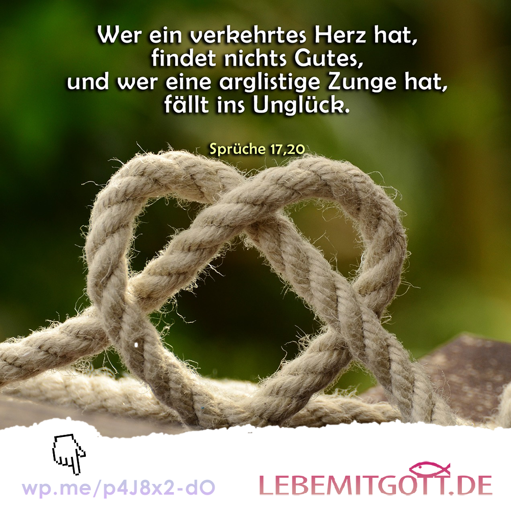 12.02.2023 verkehrtes Herz