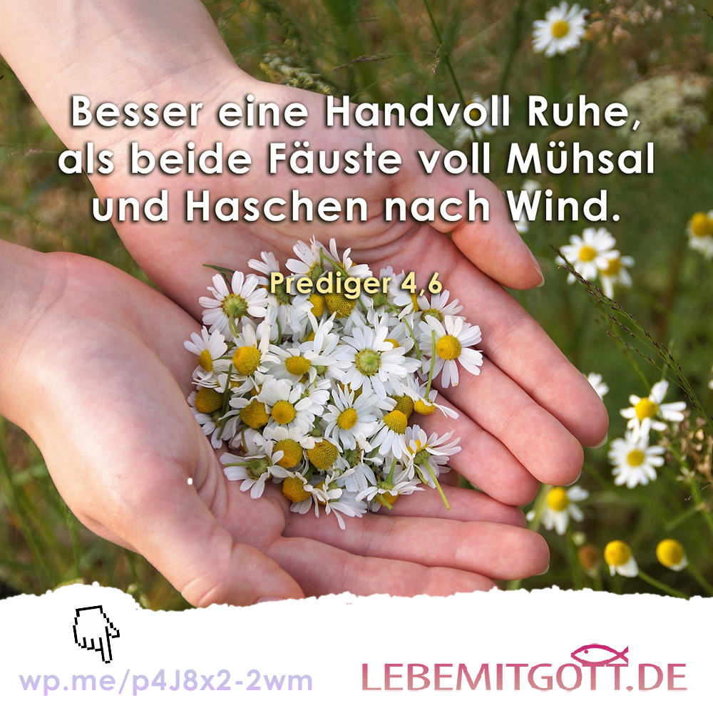 24.02.2023 Handvoll Ruhe