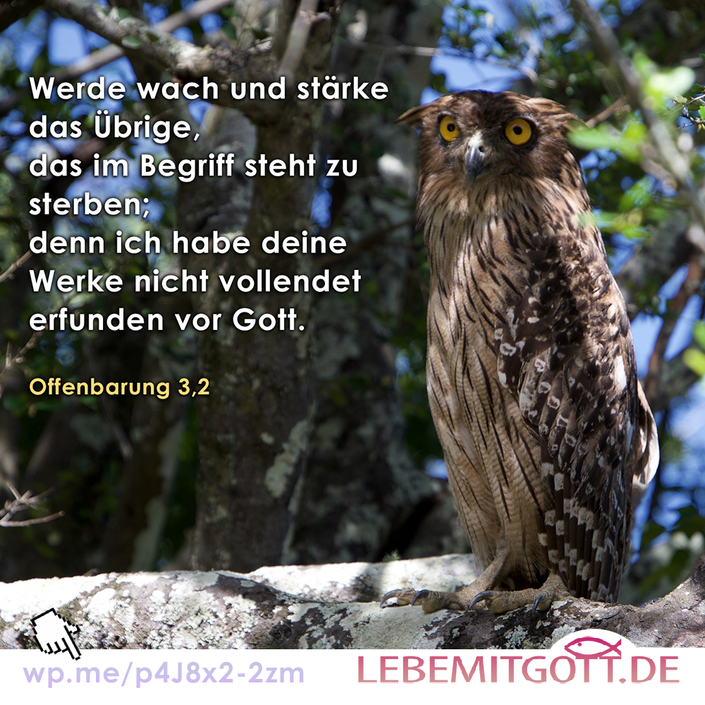 22.03.2023 werde wach