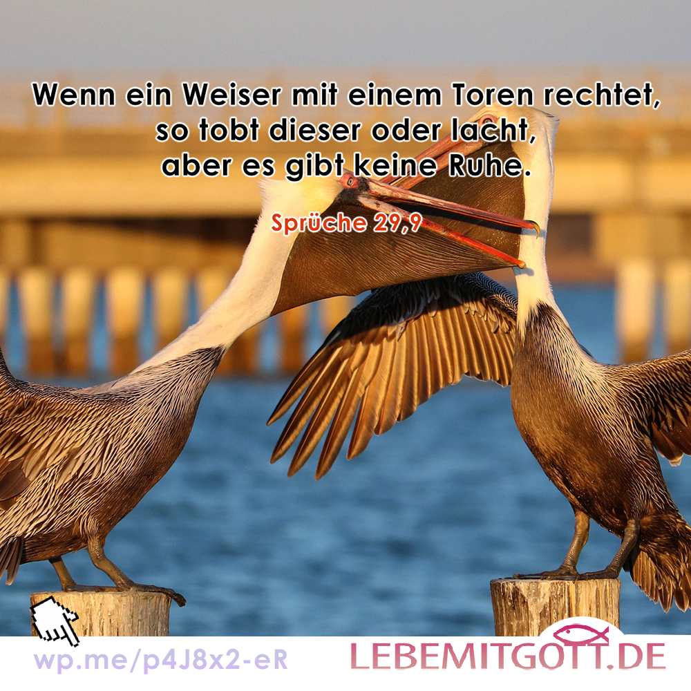 27.03.2023 ein Weiser