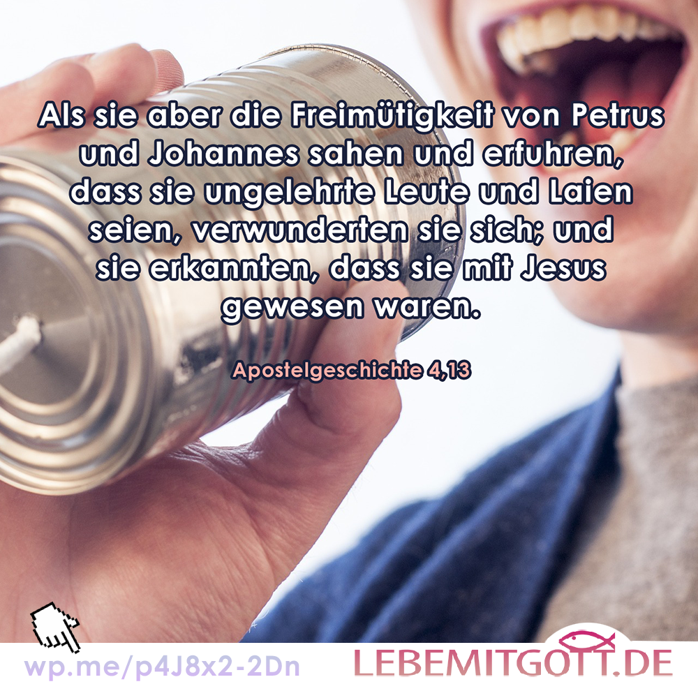 28.04.2023 ungelehrte Leute
