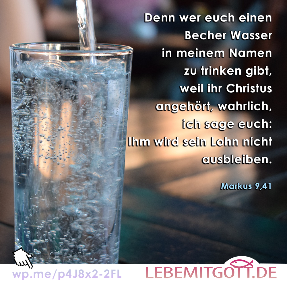 sein Lohn