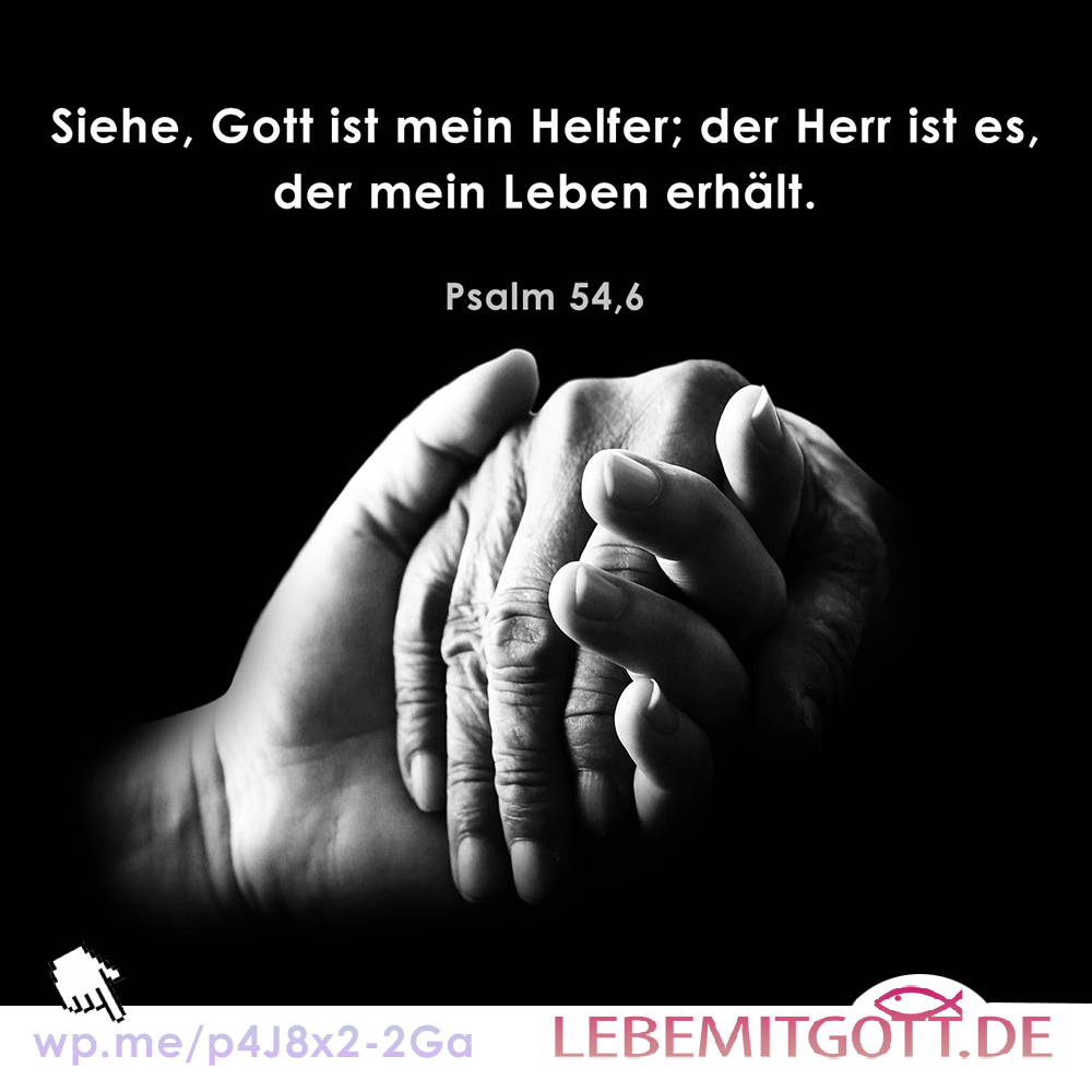 21.05.2023 Leben erhält