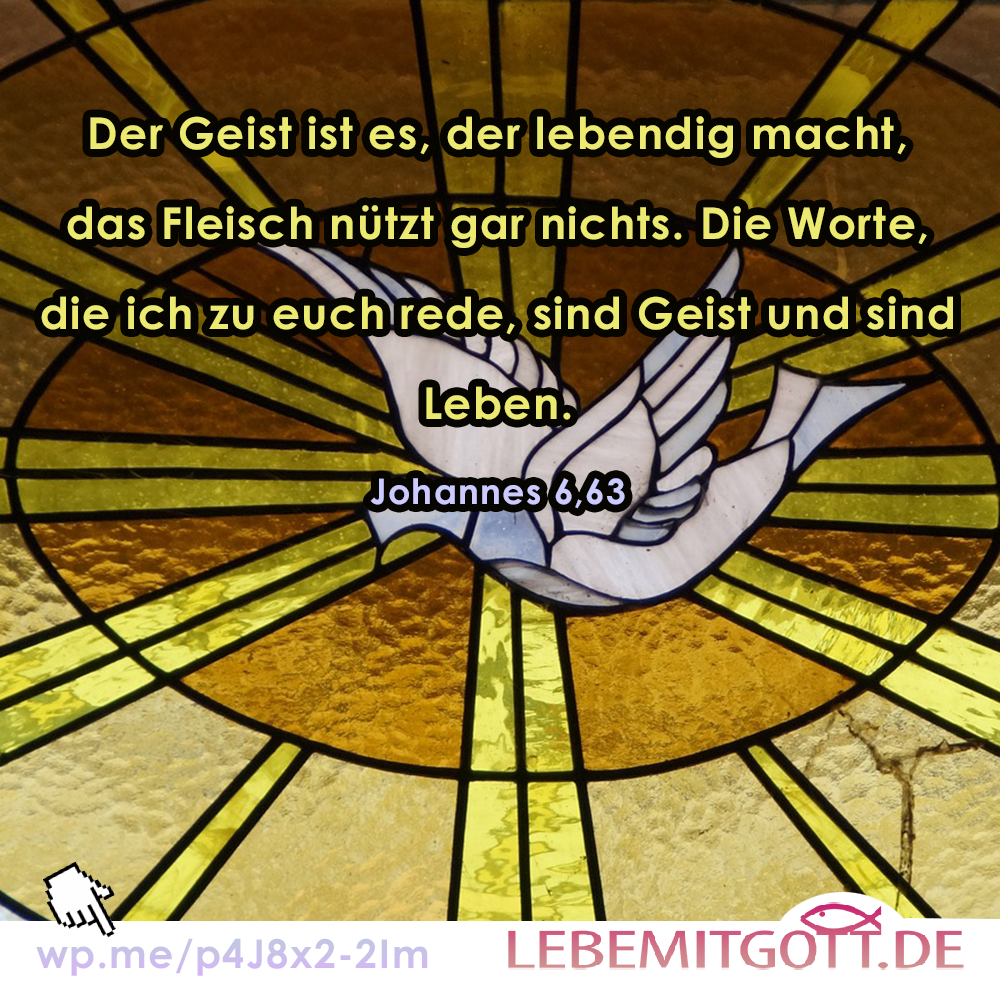 10.06.2023 der lebendig macht